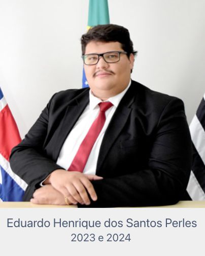 Eduardo Henrique dos Santos Perles