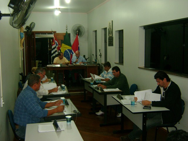 7ª Sessão Ordinária - 2010