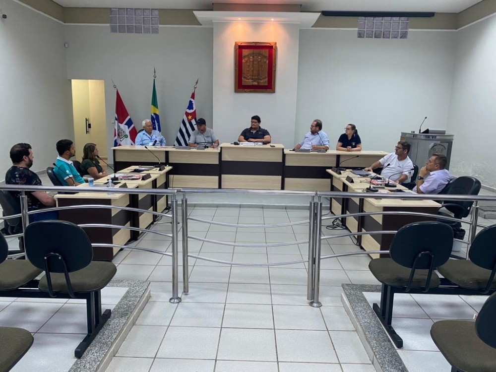 Infestação de pernilongos é tema de reunião na Câmara Municipal.