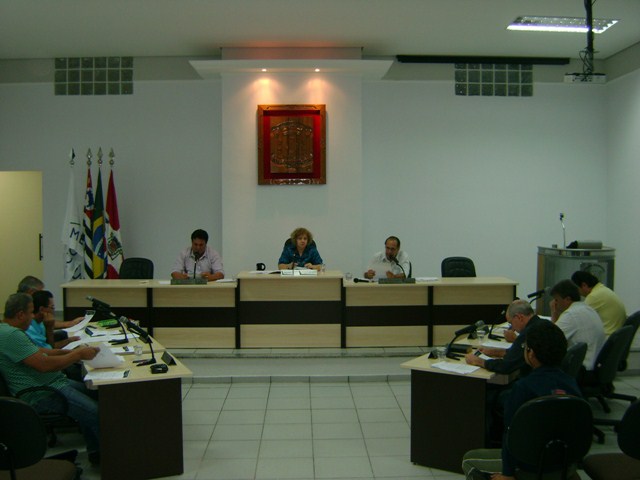 8ª Sessão Extraordinária - 2011