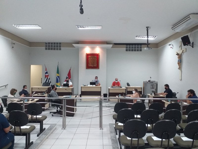 17ª Sessão Ordinária - 2020.