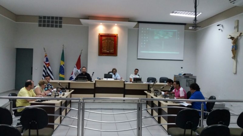13ª Sessão Extraordinária - 2017.