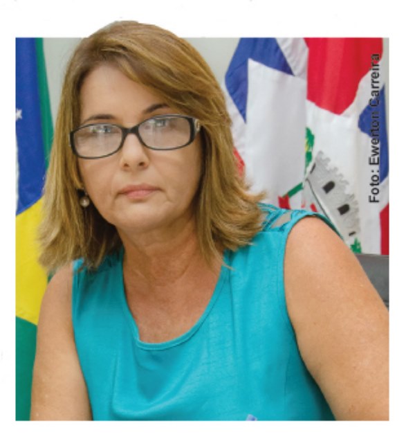 Câmara de Pirangi aprova manutenção de placas em prédios públicos.