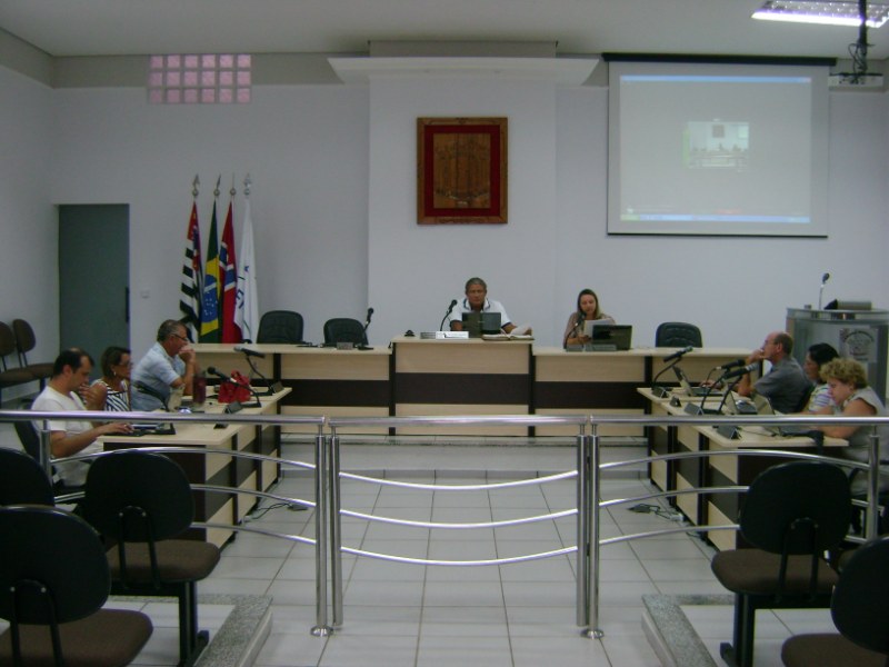 01ª Sessão Extraordinária - 2013