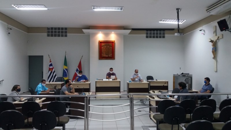 09ª Sessão Extraordinária - 2020.