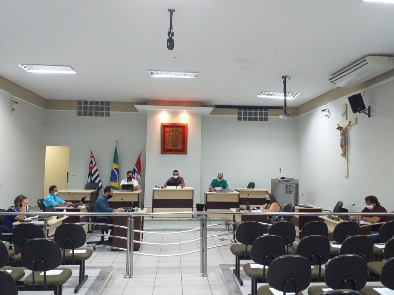 13ª Sessão Extraordinária - 2020.