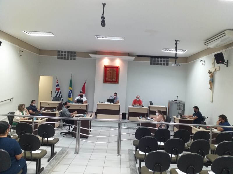 17ª Sessão Extraordinária - 2020.