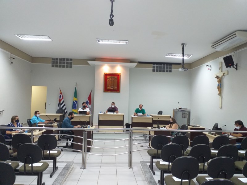 13ª Sessão Ordinária - 2020.